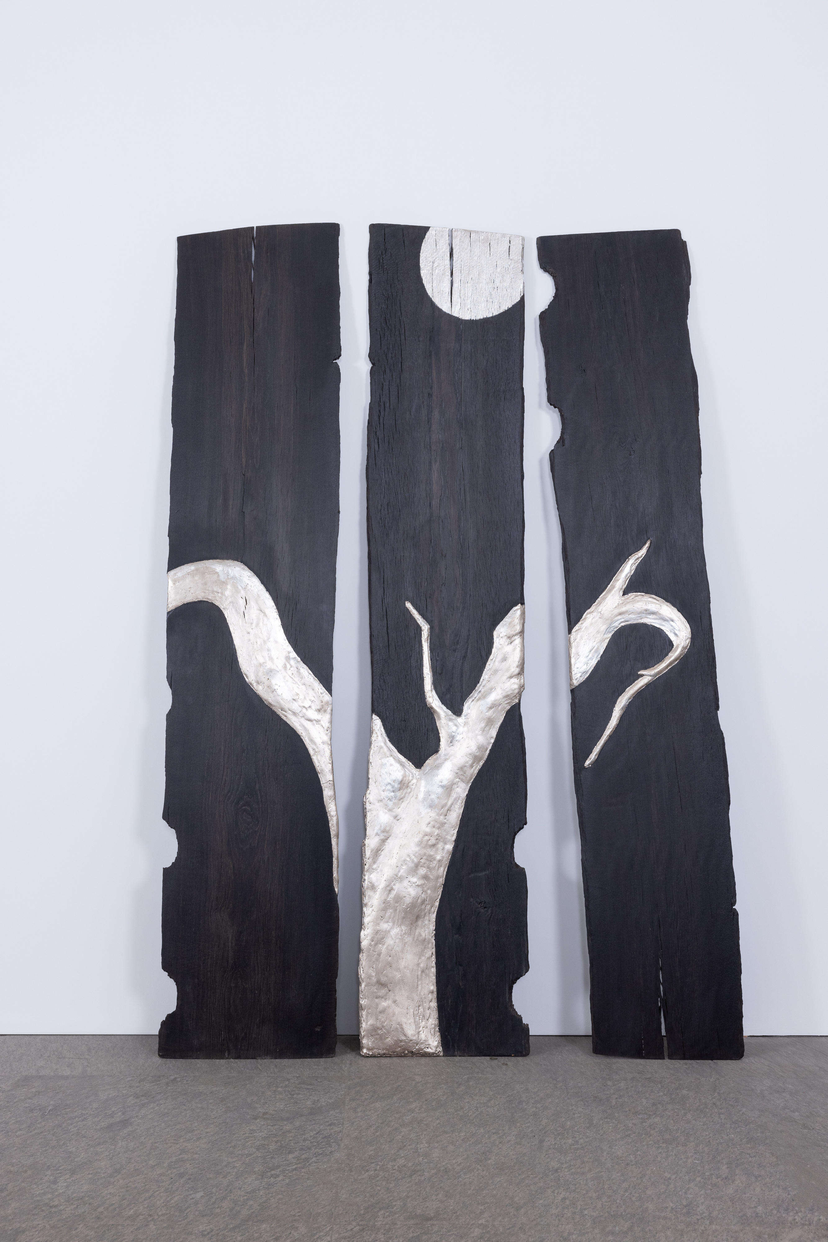 Winter Night in a Full Moon